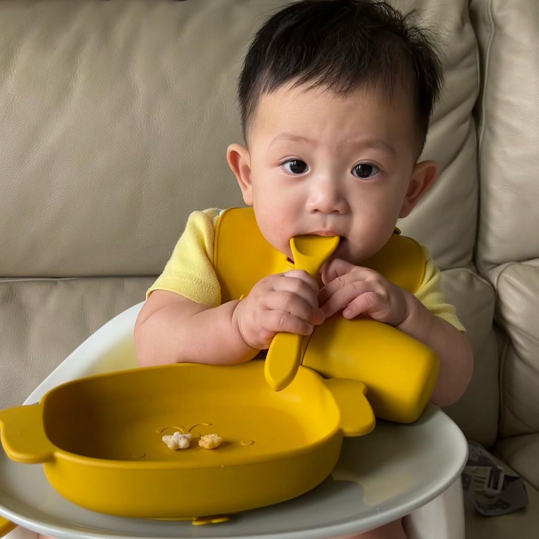 Silicone Baby Bib