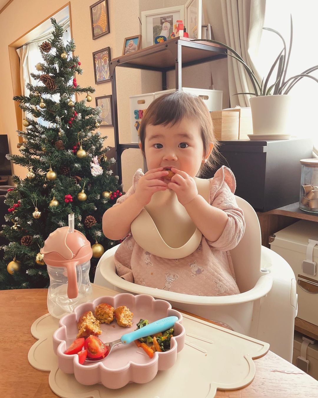 Silicone Baby Bib